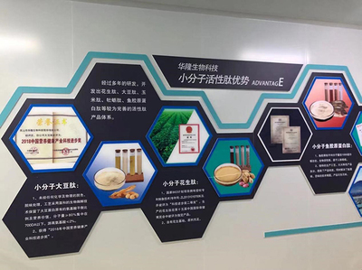 科技创新引领华隆生物科技高质量发展