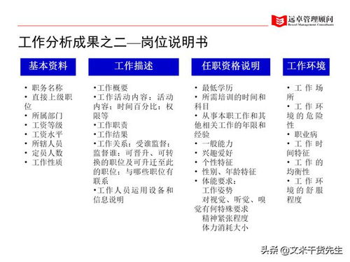 知名咨询公司客户案例 100页人力资源管理的全面提升,系统完整